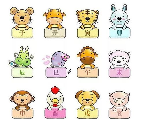 睇是什么生肖？睇代表什么生肖动物？这生肖动物是什么？