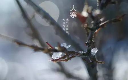 大寒上海风俗：传统韵味，爆款体验