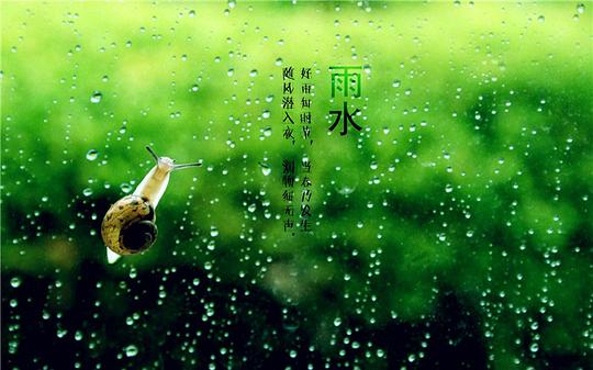 “节气雨水民俗，传承活力生机，爆款非遗文化”