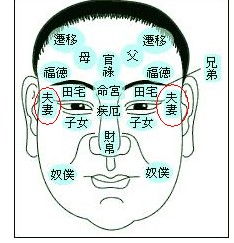 震惊！眉毛旁边这块肉竟藏着婚姻生杀大权！2026年黄历预警