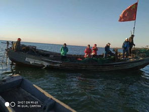 海边奇遇记：免费的海风与昂贵的医疗费