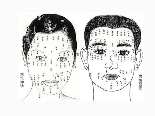 1. 整容与明星效应