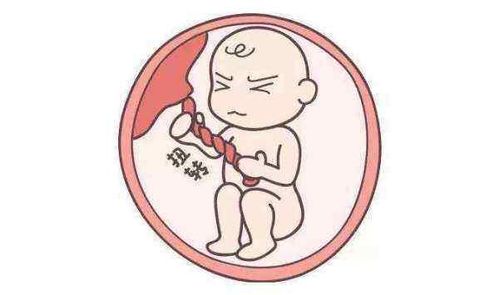 1. 狮子座的小霸主