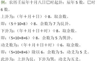 梅花易数是个啥？看完直接怀疑人生