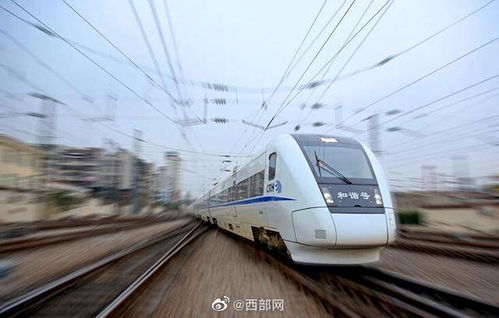 抵达小梅沙：第一眼印象是…有点失望？