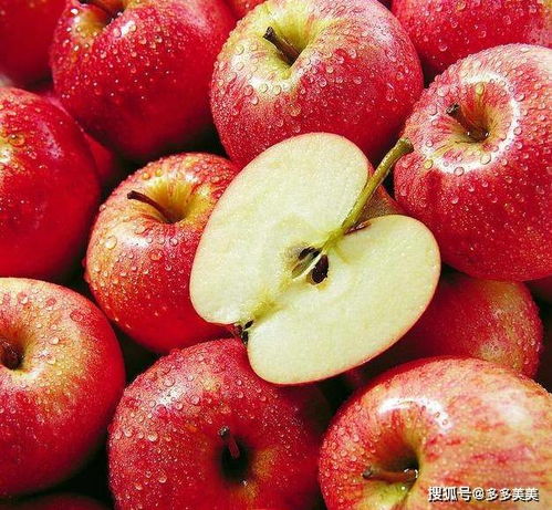 第六站：辽宁——盘锦，这里的湿地与蘋果竟然产生奇妙关联？