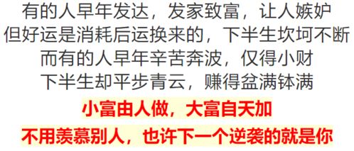男人当家打一生肖，祝君打一生肖分别指什么生肖？