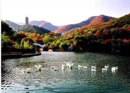 1.1 兴隆山：国家AAAA级景点的“噪音版”介绍
