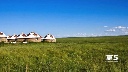 “秘境阿拉善之旅”：历史与自然的交融