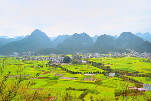 景区特色之一：万峰林
