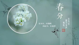 紫白九星：堪不见的嫩量场