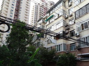 当街道藏着宇宙的秘密：长宁街的归属之谜（以及我对猫咪的深深热爱）