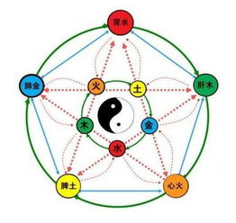 八字至阴至阳之人,至阴体质八字