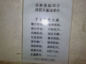 莫氏家族给宝宝取名的痛并开心着