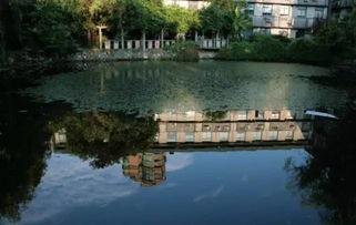 二、书香弥漫？其实是纸屑和咖啡渍