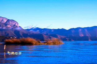 热带森林公园：探秘原始森林