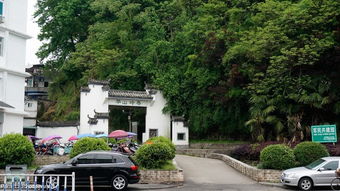 序：我与戴震园的奇遇，以及那只丢失的袜子