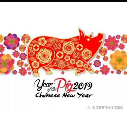 大年初一出行热，全民抢鲜过大年