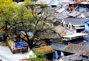 走进后沟：体验原始生活