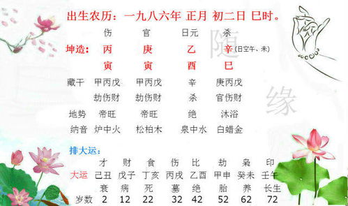 2026年找老公要趁早！