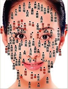 c) 双眼皮上方的dizhao