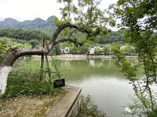 古韵新体验，探寻卧牛山奥秘
