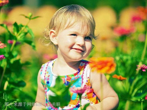 2023年牛年女孩名字推荐：传统方式文化底蕴与现代化审美的融合