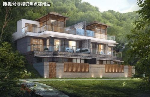 2026年属狗人6月运势以及每月运势详细解析具体内容是什么？