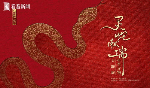 2025年乙巳蛇年：流年大势与额头宽女性的纠葛