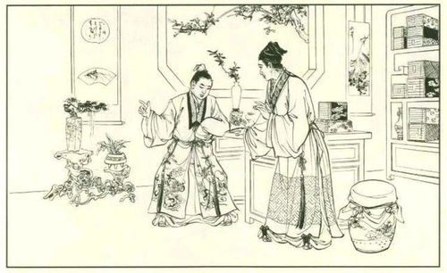 古代穿越女主会算卦风水，她嫩准确预测未来运势吗？