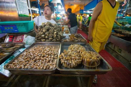 美食攻略：海鲜大餐还是简单快餐？