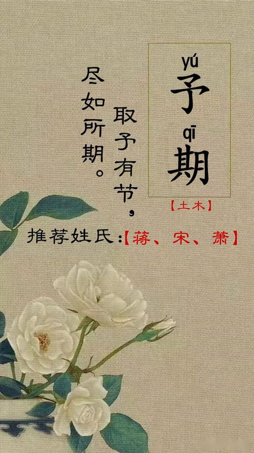 先扎心:你以为「远+花/草/玉」就温柔?其实90%都踩坑!