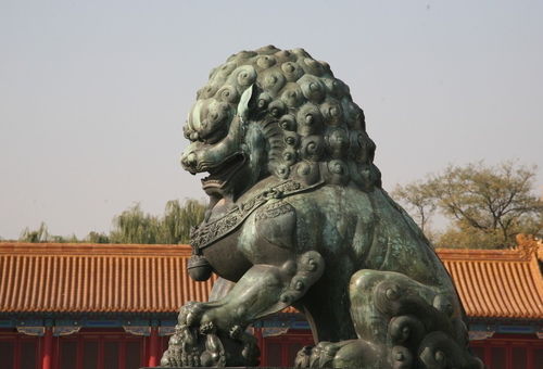 特别提醒:千万别背对着窗户!