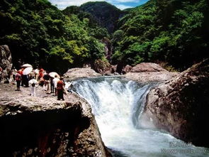 仙人桥：摇摇晃晃真刺激 (扶稳咯!)