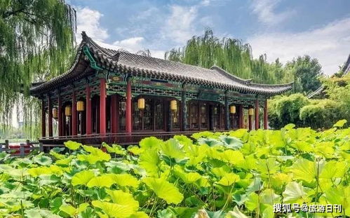 济南周边游的纠结与意外收获