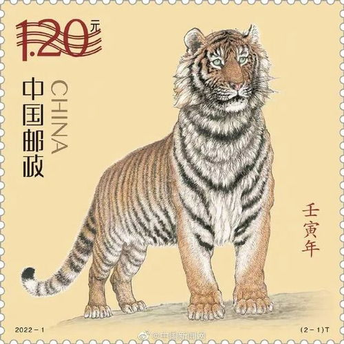 1.1 虎族英雄