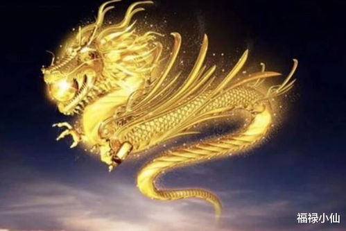 2026年属龙人今年2月装修吉日和1月最佳装修日期是哪天？