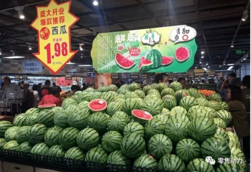 风水之眼：寻觅“食”气旺盛之地