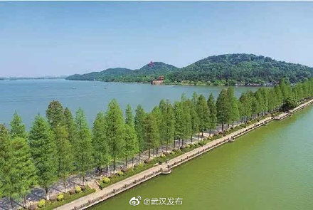 2.2 东湖绿道徒步指南：二月份怎么走才能避开人潮？