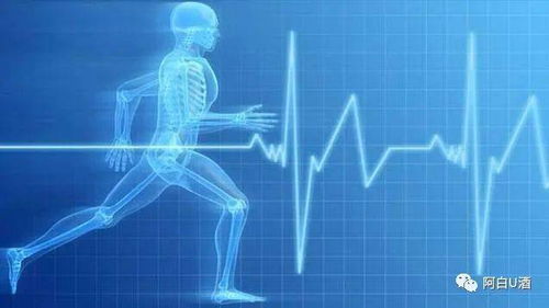 种生基：2026年最邪门的转运大法！你敢试吗？