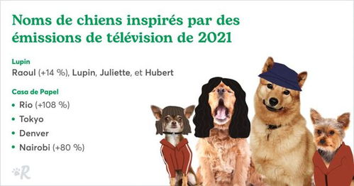 如何为狗年生人起一个既吉祥又充满创意的名字呢？