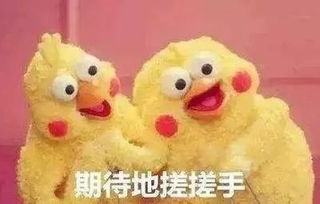 生肖犯冲，诸事不宜