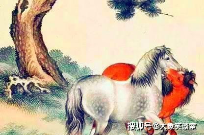 猴：炎热爱出风头的戏精