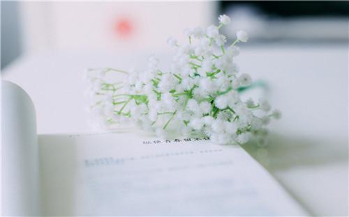 揭秘小清新素雅微信名字背后的风水秘密