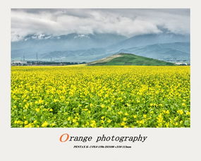 找地头蛇当导游才是王道