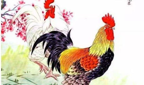 2026年属鸡或属鼠的人，乔迁或搬家，有推荐的吉日吗？