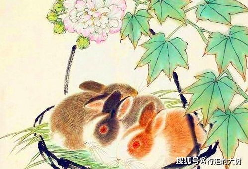 属兔属马的人，十二生肖兔年颜色运势图中，六合吉祥物究竟有何寓意？
