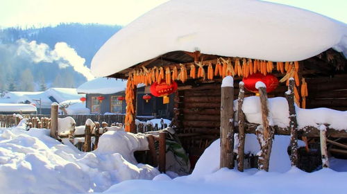 5日游保姆级攻略（其实乱七八糟）