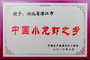 抢票攻略：不当冤种指南