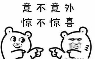 1.1 鼠年与镜中影子